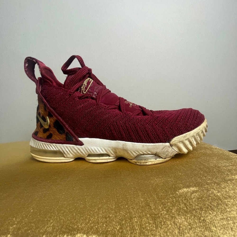 Le Brin Nike
